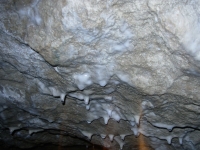 Dripping Stalactites